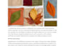 write excellent blog articles
